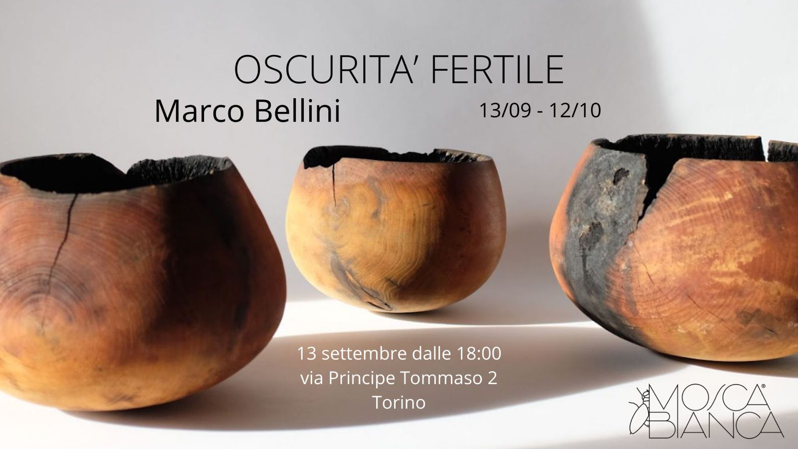 OSCURITÀ FERTILE. Il mito nella materia